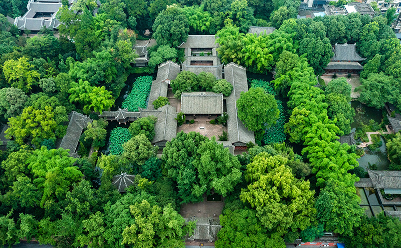 习近平的长江情怀相关图片